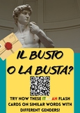 Brand New Italian Language Flash Cards with Similar Words with Different Genders