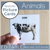 Animal Picture Cards. Animal Flash Cards with Real Life Photos. Autism Visuals