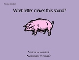 Letter P Powerpoint/Flipchart