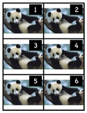 Asia-Panda Numbers