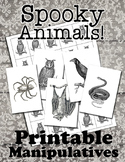 Manipulatives for Math, Science, Centers, Counting-Spooky Animals-Halloween