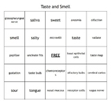 "Taste and Smell" Bingo set for an Anatomy Course