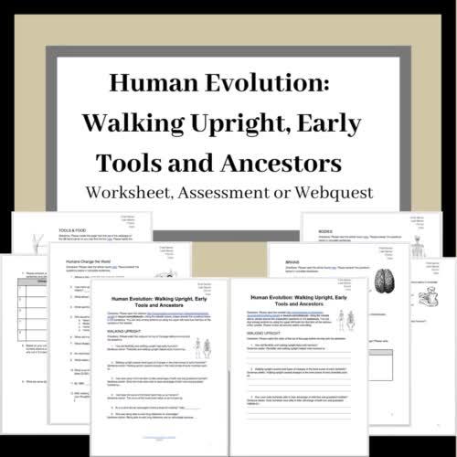15918-human-evolution-walking-upright-early-tools-and-ancestors-1.jpg