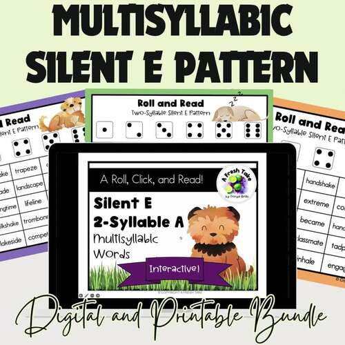 160234-roll-amp-read-multisyllabic-2-syllable-silent-e-words-sentences-digital-print-a-1.jpg