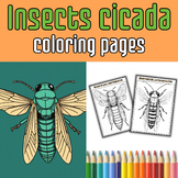 Cicada Insects Coloring Pages,Coloring Activities