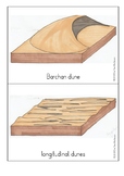 Dune Type Picture Cards
