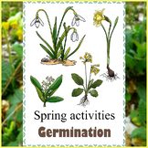 Spring Activities - Germination