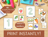 Nature's Numbers: A Montessori-Inspired Counting Game | Preschool Printable