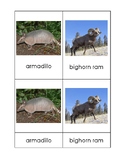Desert Toob 3-Part Card Set