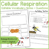 Cellular Respiration Vocabulary Notes Graphic Organizer & Questions Worksheet