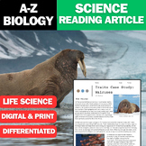 Science Reading Article - Walruses - Animal Traits | A-Z Biology