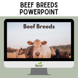 Beef Breeds PowerPoint