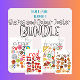Real life shape and colour poster BUNDLE