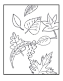 Autumn Leaves Coloring Page