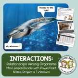 Ecology | Ecological Relationships: Symbiosis, Competition & Predator|Prey