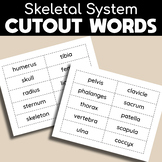Skeletal System - Cutout Words - Printable