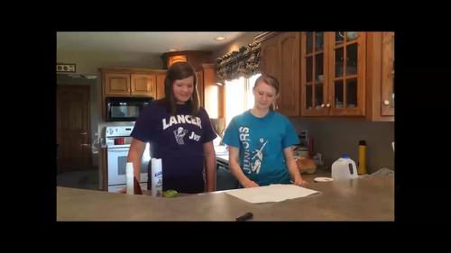 NGSS Chemistry Final Project -Household Chemistry