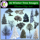 Winter Trees Photo Clip Art