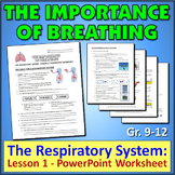 The Respiratory System:  Lesson 1 - PowerPoint Worksheet {Editable}