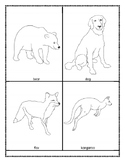 Mammals picture cards