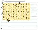 Insect Wordsearch