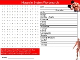 The Muscular System Wordsearch Sheet Biology Fitness Starter Activity Keywords