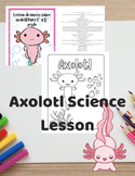 Axolotl Science Lesson for 1st-2nd Grade
