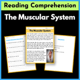 The Muscular System - Informational Text Reading Comprehension Worksheet
