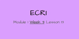 ECRI Lesson- Into Reading Module 1 Week 3 Lesson 13