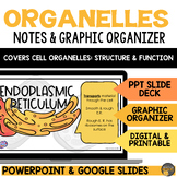 Cell Organelle PowerPoint Notes and Graphic Organizer Life Science and Biology
