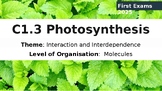 IB biology for syllabus 2025 - C1.3 Photosynthesis
