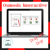 Osmosis Interactive
