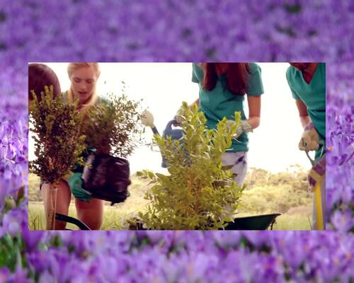 180987-gardening-riddle-me-this-game-gardening-trivia-game-1.jpg