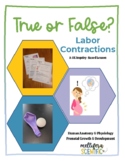True or False? Labor Contractions