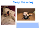 Animal Similes