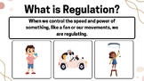 Zones of Regulation - Concept 1 - What is Regulation?
