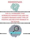 Anatomy Homeostasis