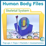 Skeletal System Activity - Human Body Files for Anatomy and Physiology