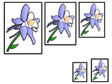 Colorado State Symbols themed Size Sequence. Preschool Game