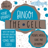 THE CELL AND ORGANELLES BINGO WITH SLIDES, 4 ROUNDS, STUDENTS PUT TERMS IN BOARD