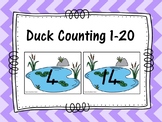 Duck Counting 1-20