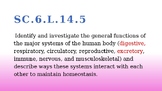 Digestive and Excretory System