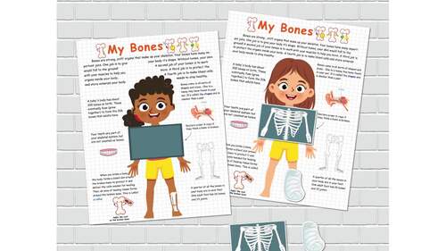 Human Skeleton Anatomy Activity, Printable Skeletal System, Bone Anatomy