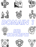 ESB v.2 Sketchnotes Domain 1