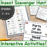 Distance Learning Insects and Bugs | Insects Research Activities