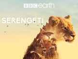 Serengeti 6 Episode Bundle Movie Guides - BBC Nature Documentary - Africa