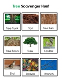 Tree Scavenger Hunt (The Creative Curriculum for Preschools: Trees Unit)