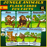 Jungle Animals Flashcards Â¨C Learn with Fun Facts & Engaging Visuals! In Spanish