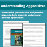 Understanding Appositives