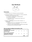 ACTIVITY - Our Pet Rock
